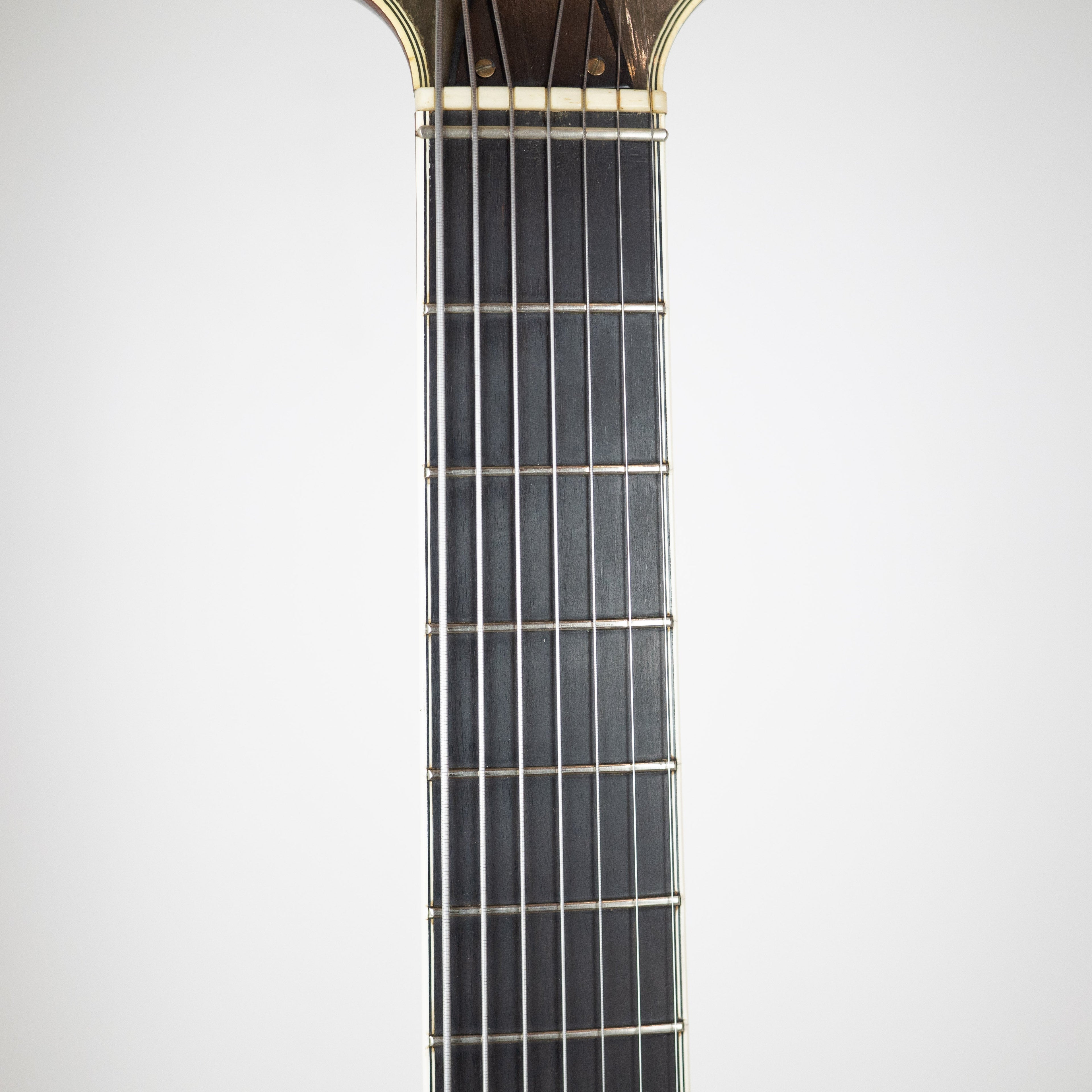 D'Aquisto 1976 7-String