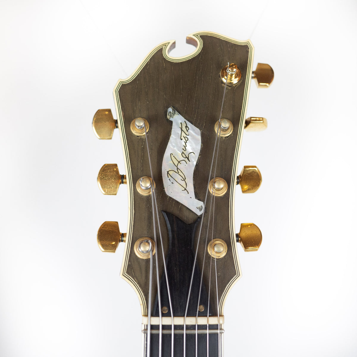 D'Aquisto 1976 7-String