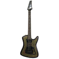 AM Guitars #00067 w/hardshell case